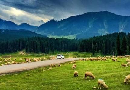 Luxury Srinagar Tour