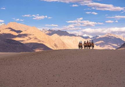Majestic Ladakh Tour