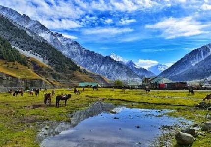 Luxury Srinagar Tour